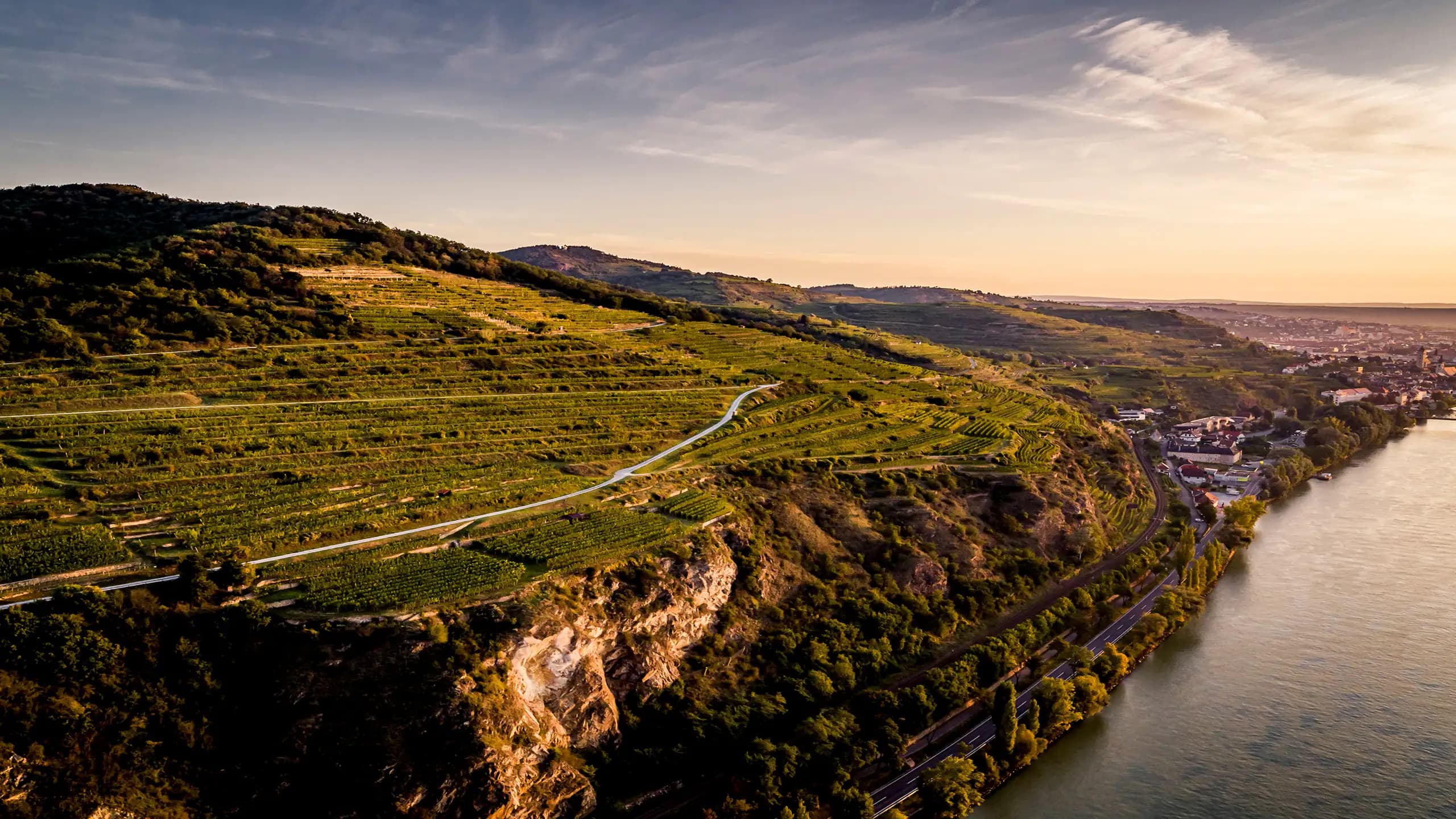 Steile Terrassen der Ried Pfaffenberg an der Donau