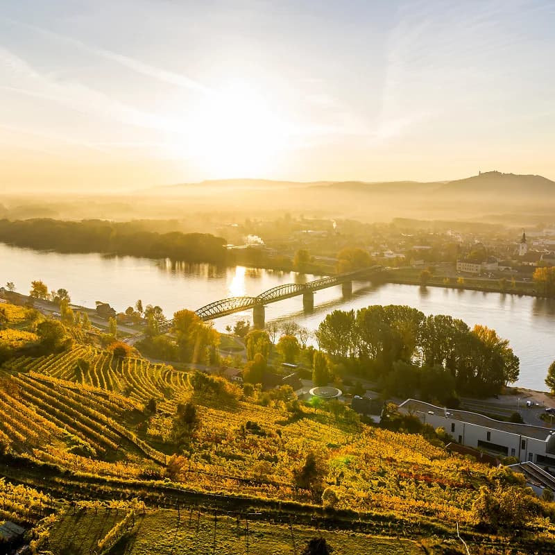 Sonnenaufgang über den Weinbergen und der Donau.