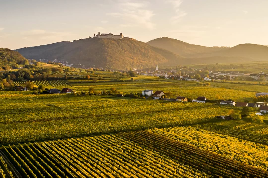 Blick auf Stift Göttweig von den Weinbergen aus.