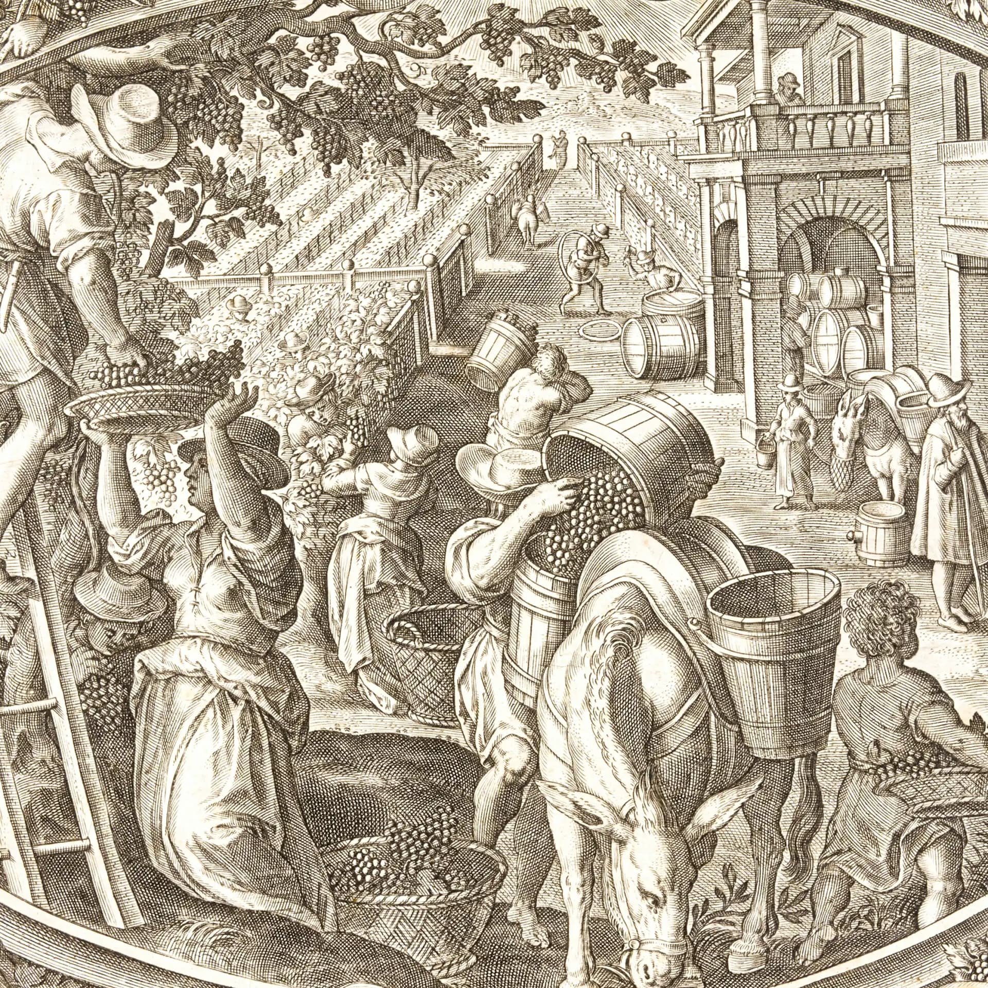 Stift Göttweig Wine as a Bestseller