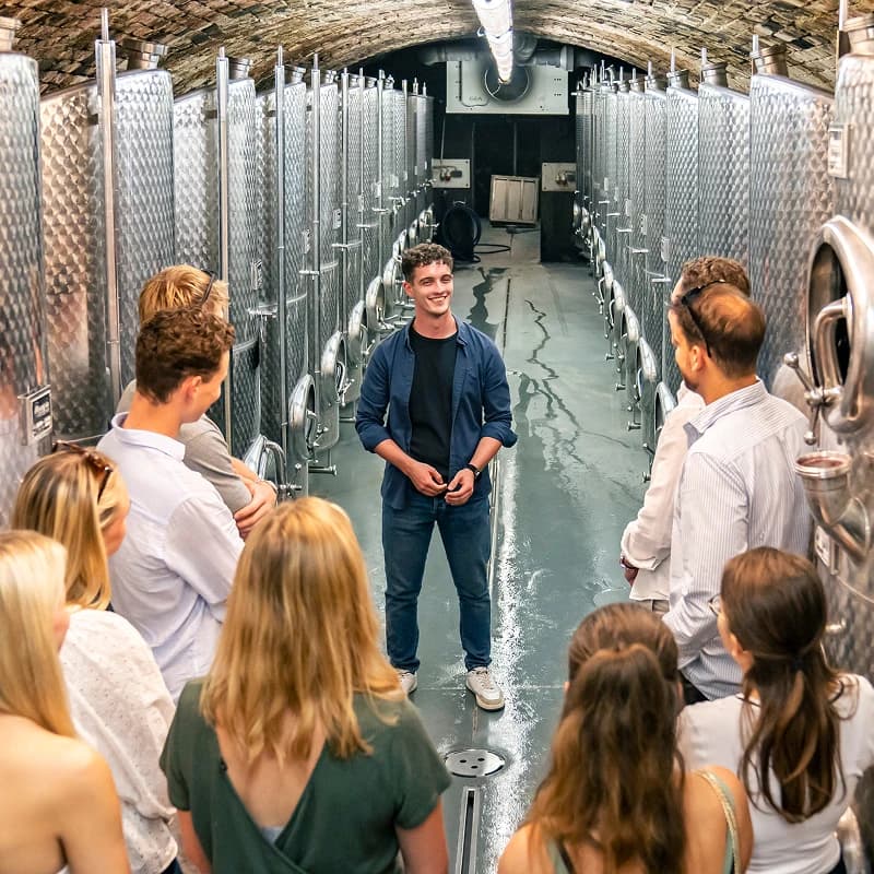 Ein Weinexperte führt eine Gruppe durch einen modernen Weinkeller mit Stahltanks.