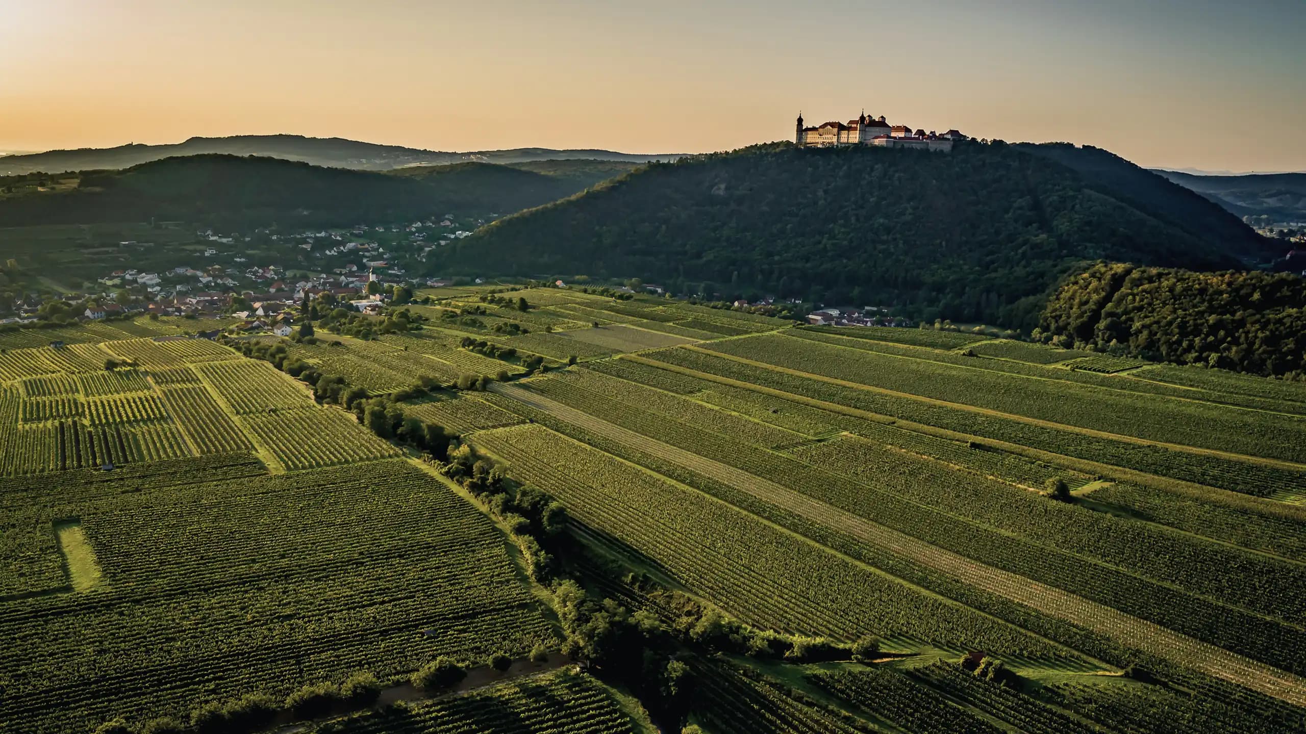 Vineyards of Ried Gottschelle on Göttweiger Berg