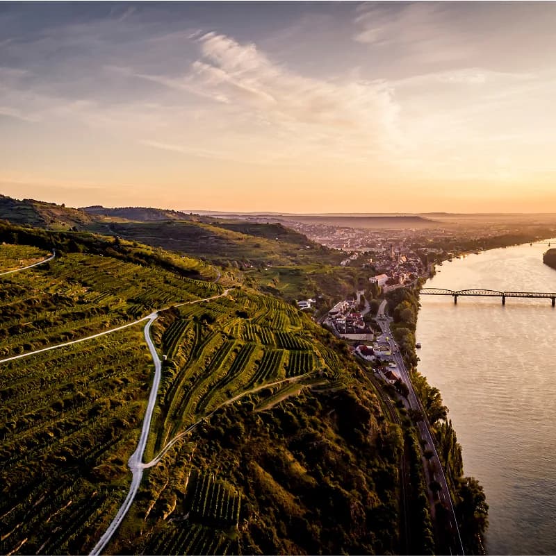 Steep, terraced vineyards along the riverbank.